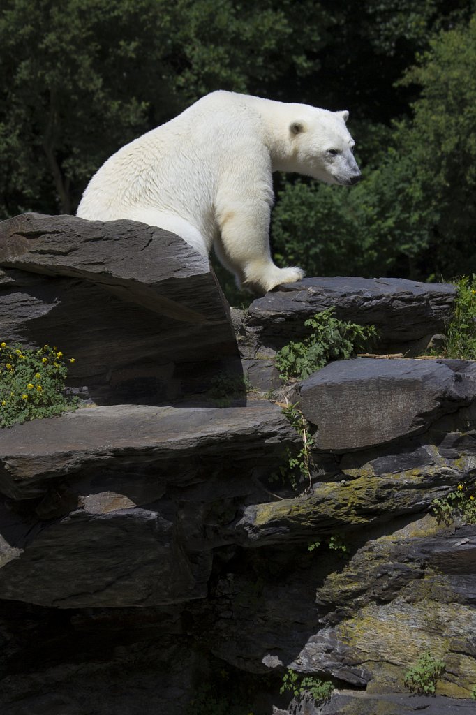 Tierpark Berlin