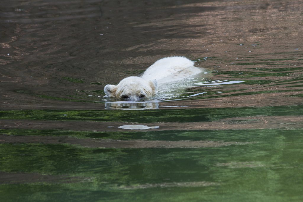 Tierpark Berlin