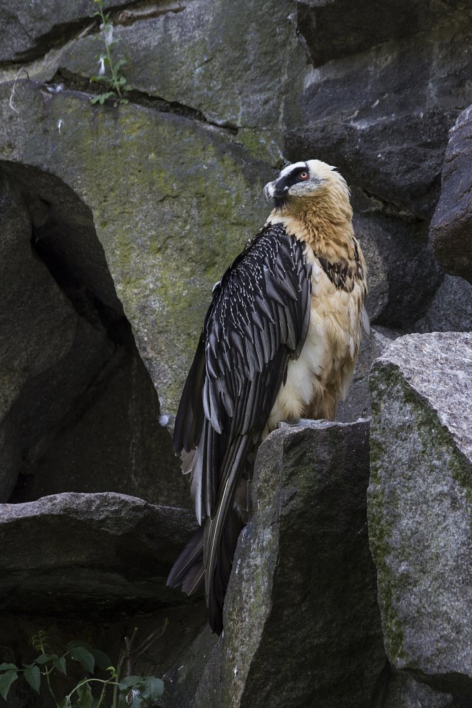 Tierpark Berlin