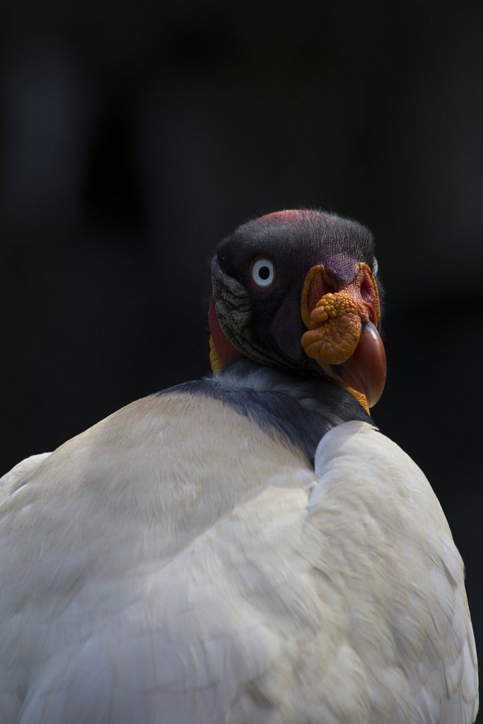 Tierpark Berlin