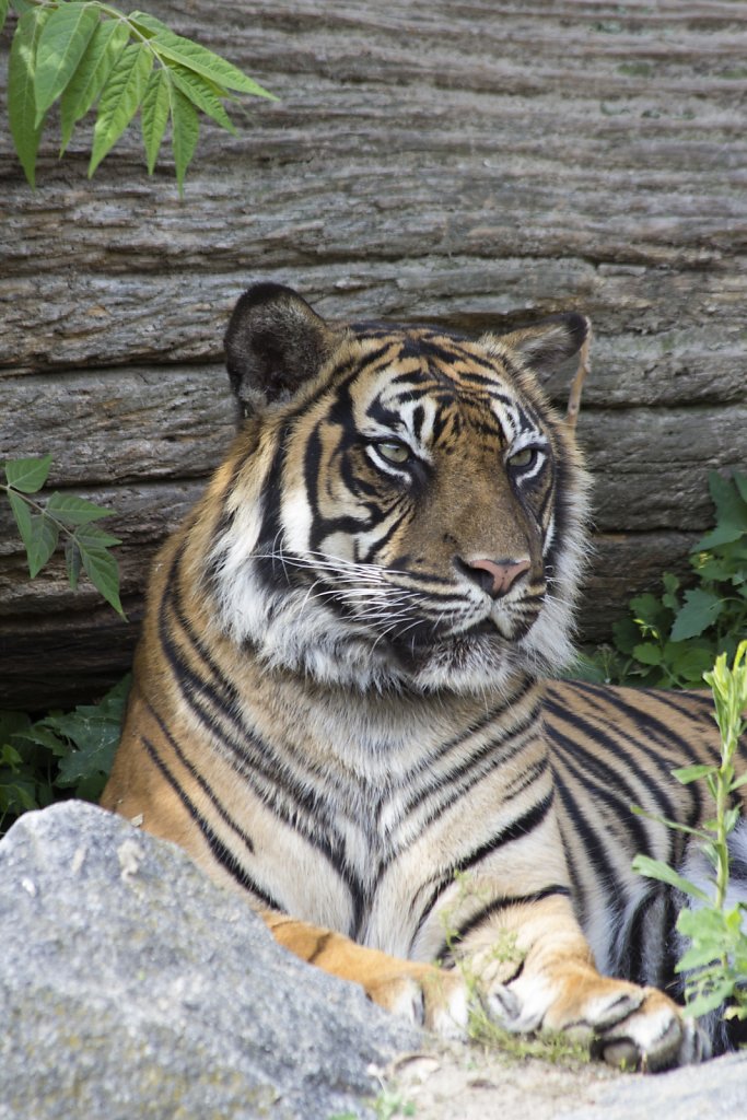 Tierpark Berlin