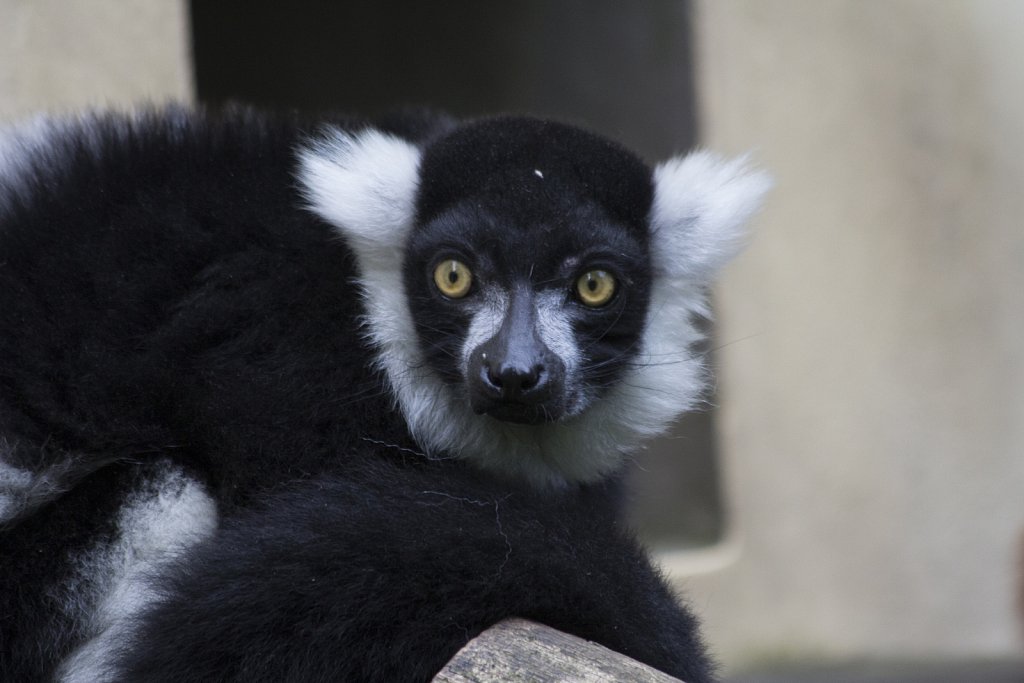 Tierpark Berlin