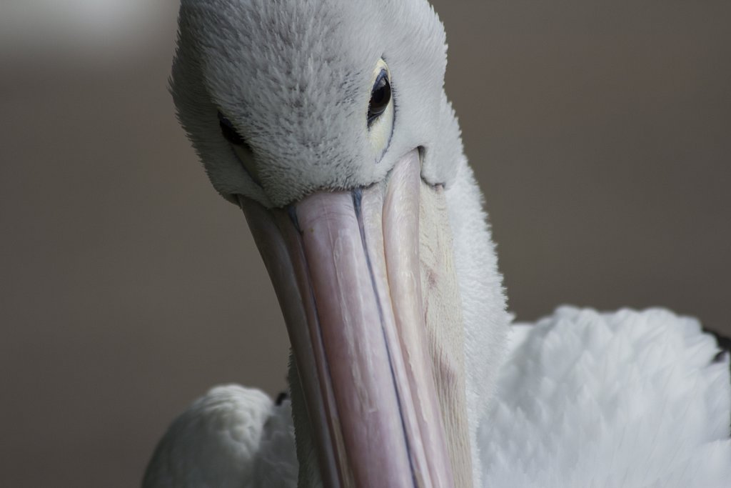 Tierpark Berlin