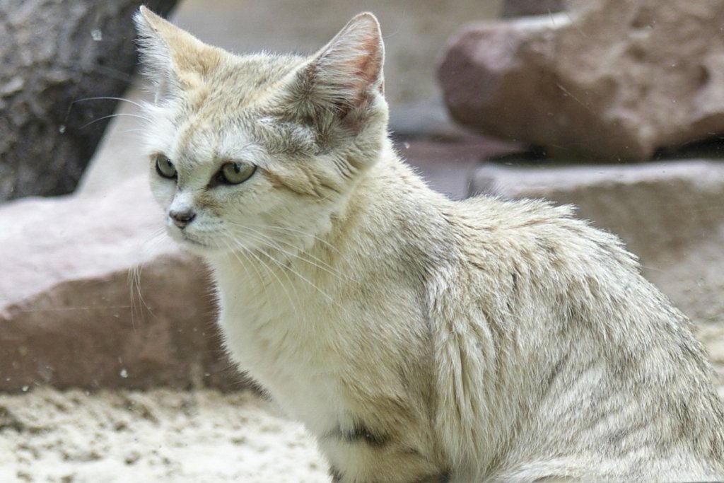 Zoo Berlin