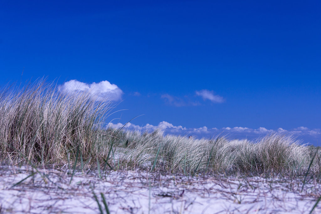 Nordsee Strand