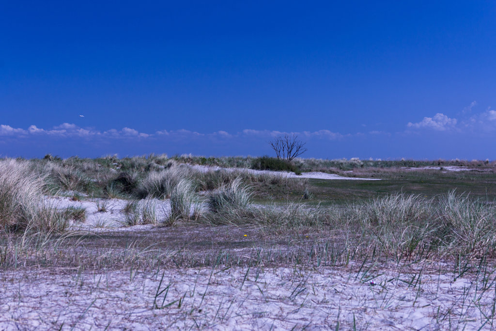 Nordsee 2016