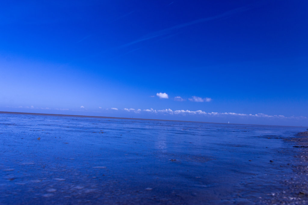 Wattenmeer 